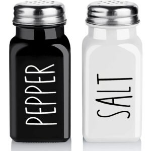 Elegant Glass Salt & Pepper Shaker Set